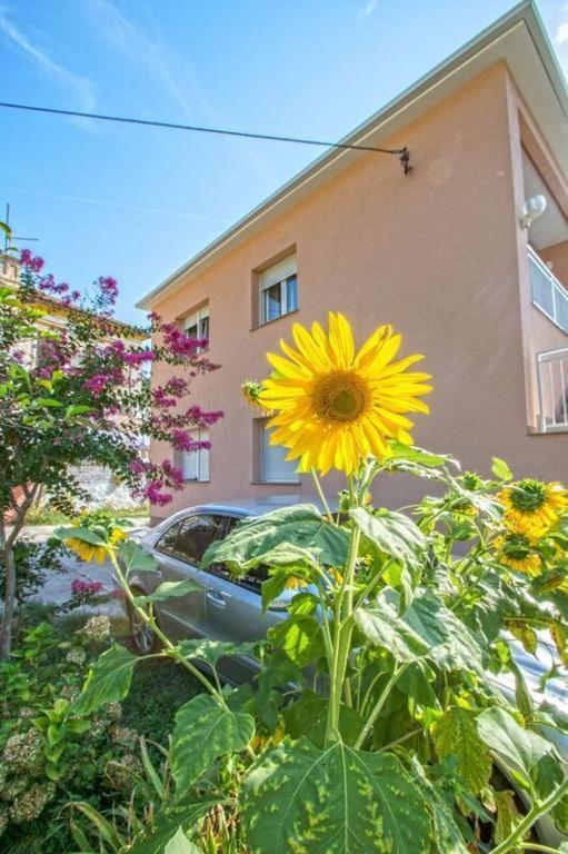 Apartman Studio Nena Crikvenica Eksteriør bilde